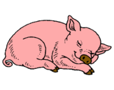 Dibujo Cerdo durmiendo pintado por sarull