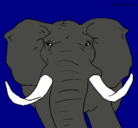 Dibujo Elefante africano pintado por sdrd
