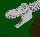 Dibujo Esqueleto tiranosaurio rex pintado por carlosmo