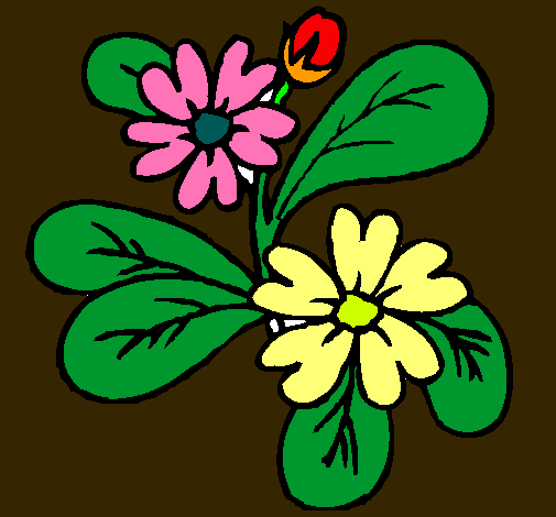 Dibujo Flores pintado por bochoto