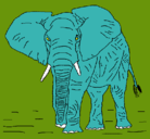 Dibujo Elefante pintado por usuar