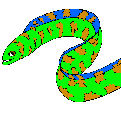 Dibujo Anguila pintado por nachoanton