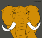 Dibujo Elefante africano pintado por basharat