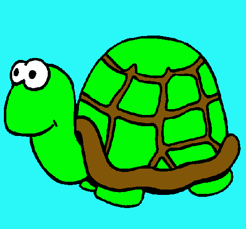 Dibujo Tortuga pintado por hyfgfhgth