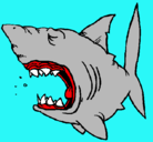 Dibujo Tiburón pintado por juanycarmina