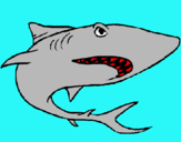 Dibujo Tiburón pintado por pablto