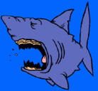 Dibujo Tiburón pintado por hjifgdilgijf