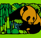 Dibujo Oso panda y bambú pintado por lurdes22