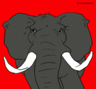 Dibujo Elefante africano pintado por guadara     