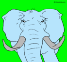 Dibujo Elefante africano pintado por danielorland