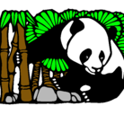 Dibujo Oso panda y bambú pintado por Mono