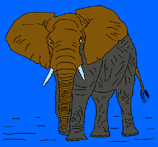 Dibujo Elefante pintado por lurdes22