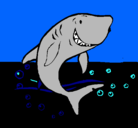 Dibujo Tiburón pintado por tiburonsin