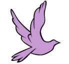 Dibujo Paloma de la paz al vuelo pintado por belly