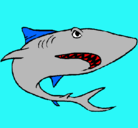 Dibujo Tiburón pintado por TIBIRRON 