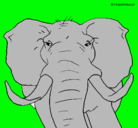 Dibujo Elefante africano pintado por saira