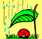 Dibujo Mariquita protegida de la lluvia pintado por XxxLindaXxx