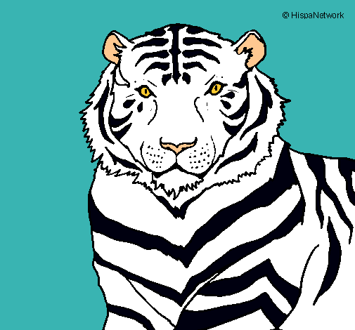 Dibujo Tigre pintado por LoReeh-