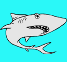 Dibujo Tiburón pintado por daniza