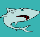 Dibujo Tiburón pintado por laquqema