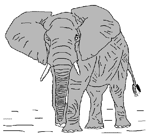 Dibujo Elefante pintado por LUMARNA