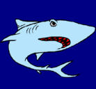Dibujo Tiburón pintado por a2000