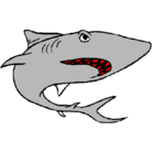 Dibujo Tiburón pintado por independient