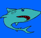 Dibujo Tiburón pintado por ghjjjjj