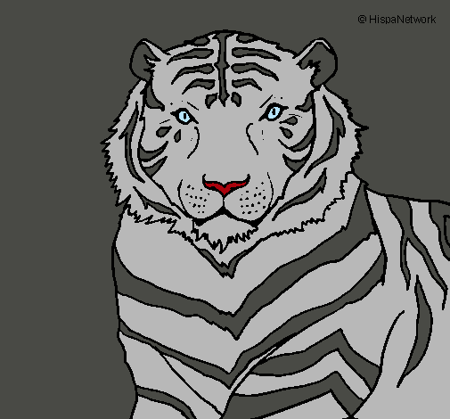 Dibujo Tigre pintado por SebaGBarton