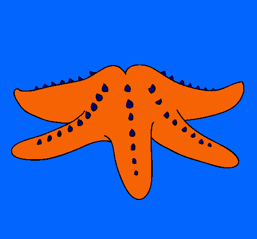 Dibujo Estrella de mar pintado por manny