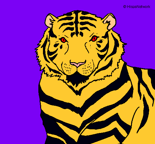 Dibujo Tigre pintado por GUILLERMINA