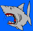 Dibujo Tiburón pintado por rasa