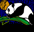 Dibujo Oso panda comiendo pintado por pedorro98