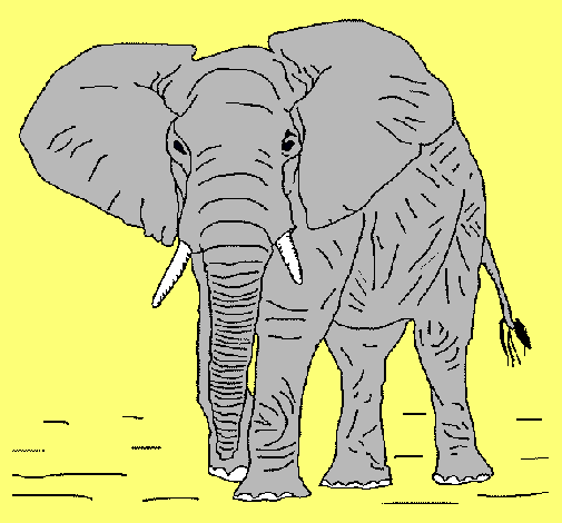 Dibujo Elefante pintado por Miguel2001