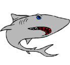Dibujo Tiburón pintado por poiolujgj