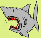 Dibujo Tiburón pintado por rosiiiiiiiii