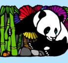 Dibujo Oso panda y bambú pintado por pandamon
