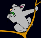 Dibujo Koala pintado por shgdfdfdfddf