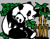 Dibujo Mama panda pintado por rosalinda1