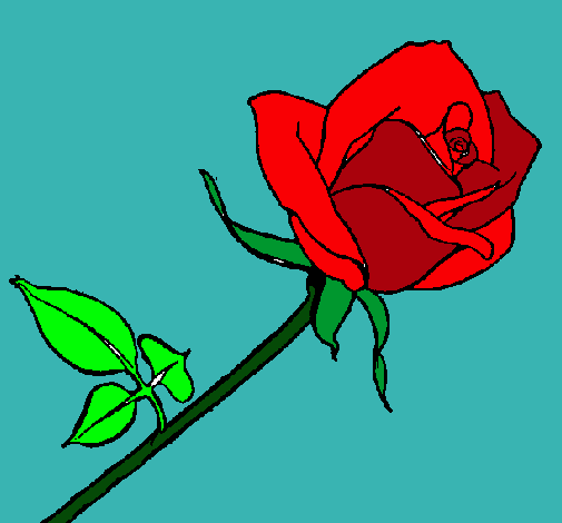 Dibujo Rosa pintado por carito2000