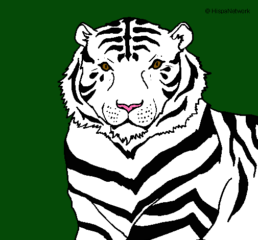 Dibujo Tigre pintado por maximilianocamp