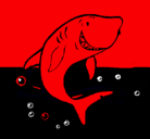 Dibujo Tiburón pintado por akjmkkjhgftc