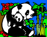 Dibujo Mama panda pintado por braulio
