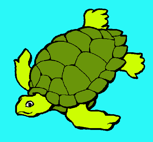 Dibujo Tortuga pintado por IRAIMA