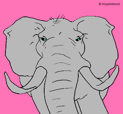 Dibujo Elefante africano pintado por aniitta