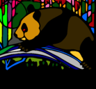 Dibujo Oso panda comiendo pintado por FRANCHE