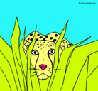 Dibujo Guepardo pintado por leopardo