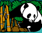Dibujo Oso panda y bambú pintado por rosalinda1