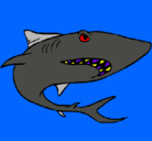 Dibujo Tiburón pintado por franco10