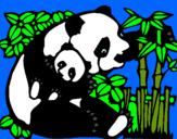 Dibujo Mama panda pintado por jimi7